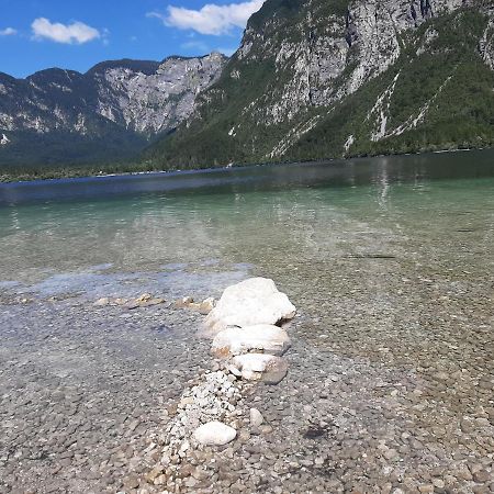 Apartma Bohinj Bagian luar foto