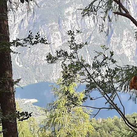 Apartma Bohinj Bagian luar foto