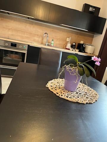 Apartma Bohinj Bagian luar foto