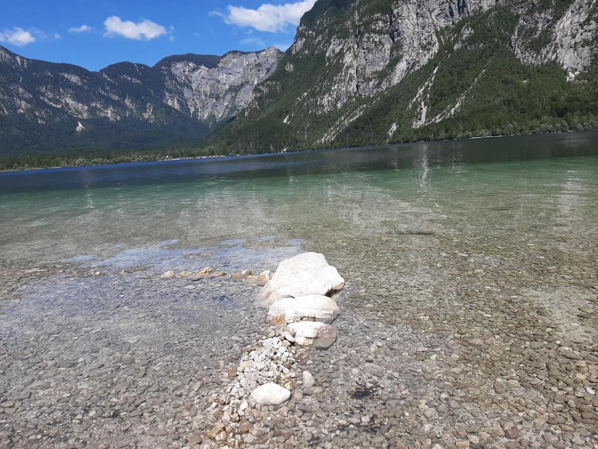 Apartma Bohinj Bagian luar foto